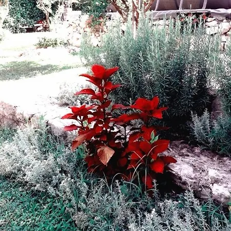 Melograno Willa Mostar